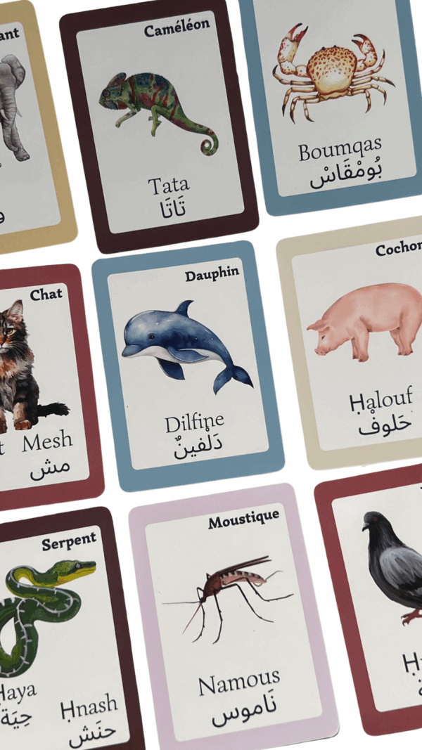 El Hayawānāt - Le jeu pour apprendre les animaux en darija – Image 5